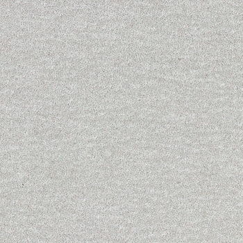 ハイピッチシートタイプ S2-5P FUJI STAR(三共理化学)