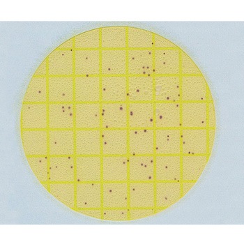 ペトリフィルム(TM)培地(冷蔵) Solventum(ソルベンタム)(旧スリーエム ヘルスケア)