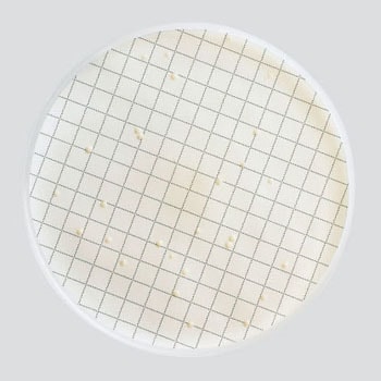 MXSMCRA48 �~���t���b�N�X�v���X�p���V�|�n(�①) Merck(�����N�~���|�A) 35723013