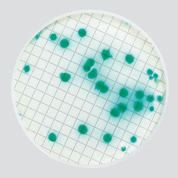 MXSMPIA48 ~tbNXvXpV|n(①) Merck(N~|A) 35723047