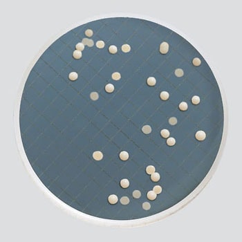 MXSMCSD48 �~���t���b�N�X�v���X�p���V�|�n(�①) Merck(�����N�~���|�A) 35723056