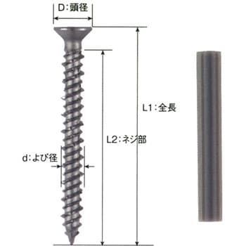 BS-445 ビスピタ(ドリルなし) サラ頭 1パック(100本) 若井産業 【通販 