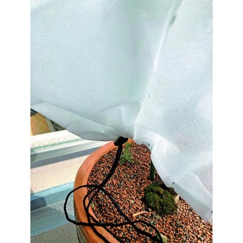 植物の不織布カバー 白 イノベックス(ダイオ化成)