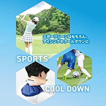クールストレージ 保冷氷のうホルダー パール金属