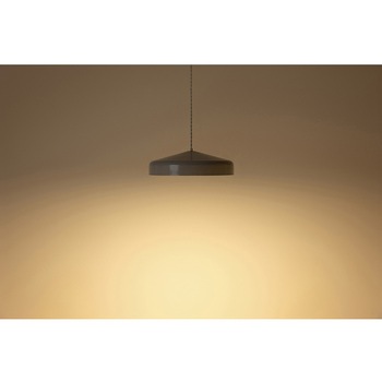 イオン ペンダントライト Lサイズ BRID