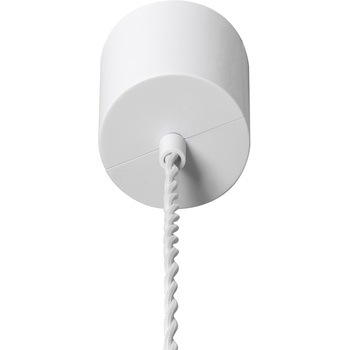 イオン ペンダントライト Lサイズ BRID