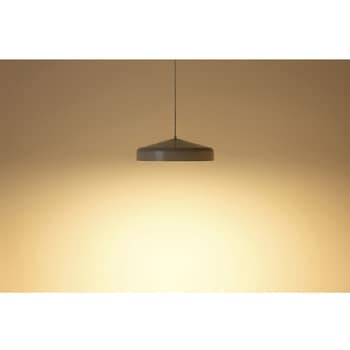 イオン ペンダントライト Lサイズ BRID