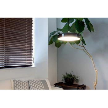 イオン ペンダントライト Lサイズ BRID