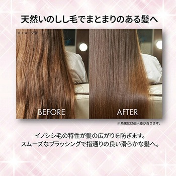 ボアブリストルブラシ ヘアブラシ サンライズ