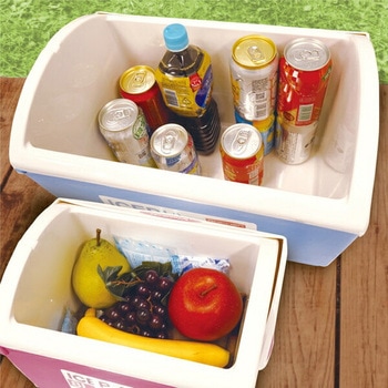 アイスピア ICEPIA クーラーボックス 23L ドリームウェア