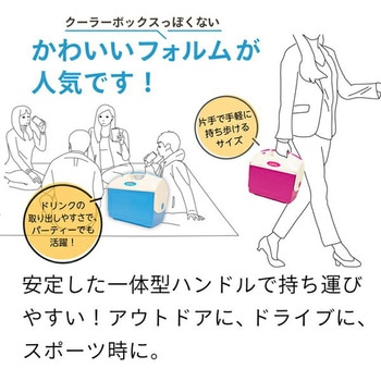 アイスピア ICEPIA クーラーボックス 23L ドリームウェア