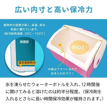 アイスピア ICEPIA クーラーボックス 23L ドリームウェア