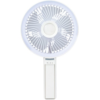 BIG LOVE FAN ビックラブファン アピックス