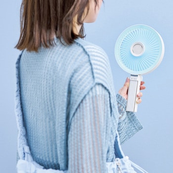BIG LOVE FAN ビックラブファン アピックス