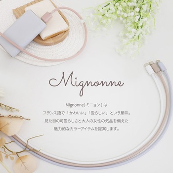 シースルー素材採用 耐屈曲5万回 急速充電3A/データ転送USB Type-A to USB Type-C シリコンケーブル Mignonne(ミニョン) OWLTECH(オウルテック)