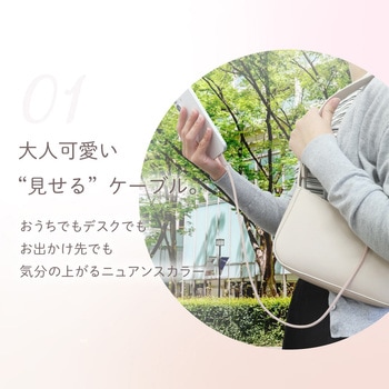 シースルー素材採用 耐屈曲5万回 PD60W充電/データ転送USB Type-C to USB Type-C シリコンケーブル Mignonne(ミニョン) OWLTECH(オウルテック)