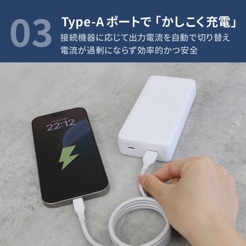 5000mAh PowerDelivery20W 2台同時充電対応コンパクトサイズ モバイルバッテリー Mignonne(ミニョン) OWLTECH(オウルテック)
