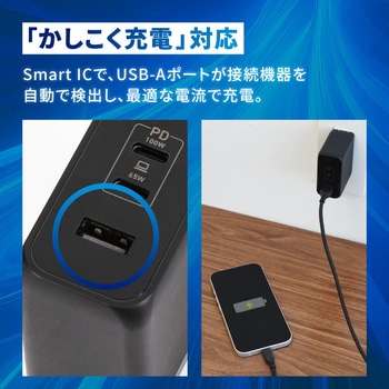 超速充電 最大PD100W出力 GaN採用USB Type-C×2 USB Type-A×1 AC充電器 OWLTECH(オウルテック)