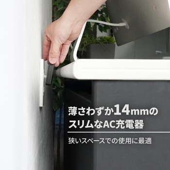 薄さ14mm 最大PD65W出力GaN採用 USB Type-C×2 AC充電器 OWLTECH(オウルテック)