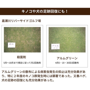 アルムグリーン アルム農材
