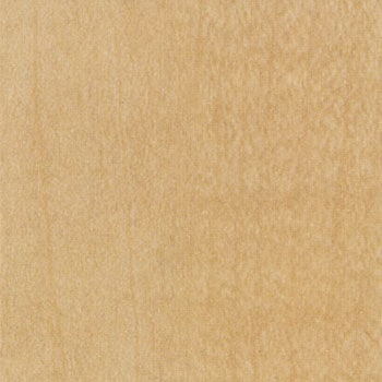 A-62 ύ VG[XII NgN}[PeBO 36293853