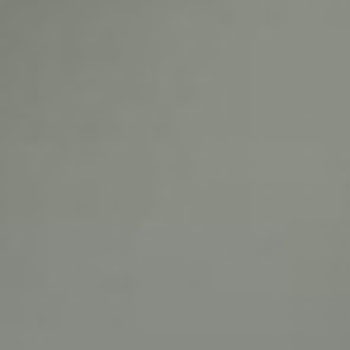 CWF-1  PINLOCK CWF-1 PINLOCK �V�[���h SHOEI 36584886