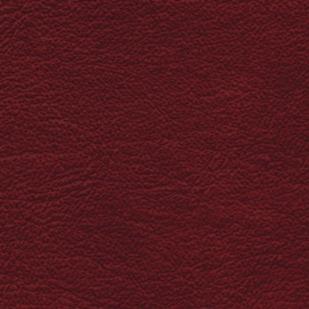 47515 V[gQ DAYTONA(fCgi) 36660836