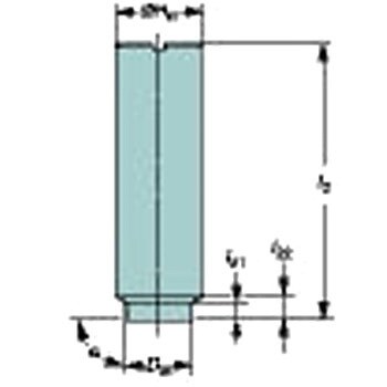 E12-A12-SS-100 Coromant EHアダプタ 円筒シャンク 1本 サンドビック