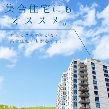 復活洗浄剤 タイル用 屋外タイル用洗浄剤 カンペハピオ