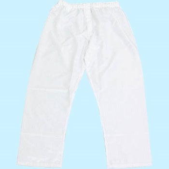 パンツ(クリーンパック仕様)[CL10000] ブラストン