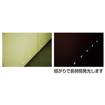 光ルミノーバ 光