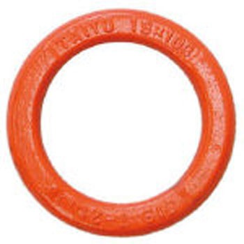 URG-19×100 リング(強力タイプ) 大洋製器工業 37167137