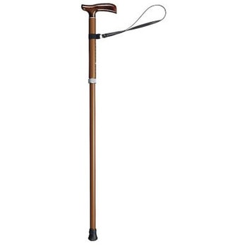 かるケイン 田辺プレス