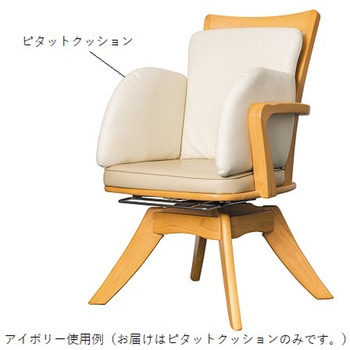 ピタットクッション(体幹サポートクッション) オフィス・ラボ