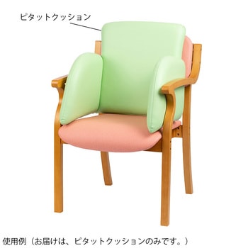 ピタットクッション(体幹サポートクッション) オフィス・ラボ