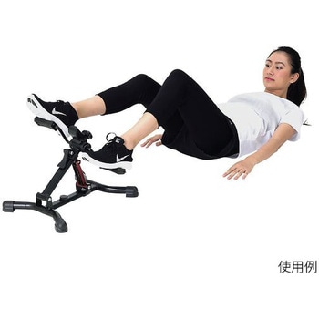 プチトレサイクル アルインコ