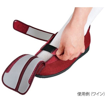 ケアフルⅢ 徳武産業