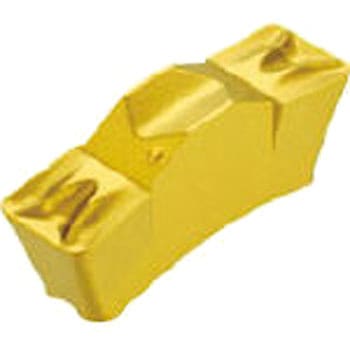 チップ TGMF イスカル