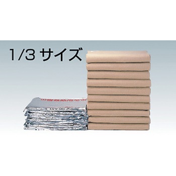 パック毛布 1．3kg 5枚入り 船山