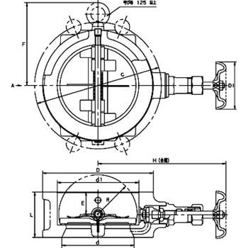 10K 鋳鉄製ウエハチャッキ (消防評定/認定品)(10FWシリーズ)