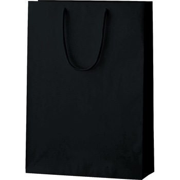 シャイニーバッグ 丸玉工業