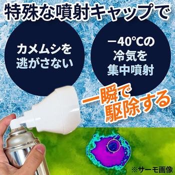 カメムシ氷殺スプレー ムース