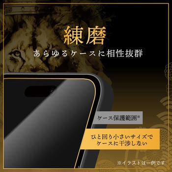 iPhone 16 Pro ガラスフィルム「GOD GLASS 覇獅神」練磨 ブルーライトカット GOD GLASS