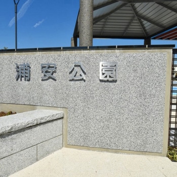 彩立上り洗い出し2分石 BWA-585(天然石洗い出し樹脂仕上材) ヤブ原産業