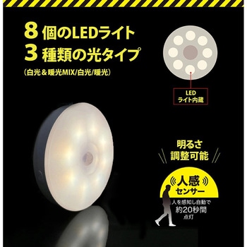 充電式防犯センサーライト GLOBAL JAPAN