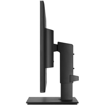 23.8型 液晶ディスプレイ(IPS/ブルーライト低減/スピーカー/ピボット) LG