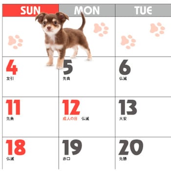 【名入れ】DOG・DOG・DOG ミシン目入り レスタス