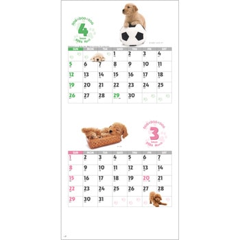 【名入れ】DOG・DOG・DOG ミシン目入り レスタス