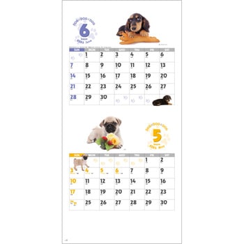 【名入れ】DOG・DOG・DOG ミシン目入り レスタス