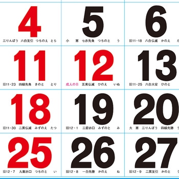 【名入れ】観光数字月表 レスタス